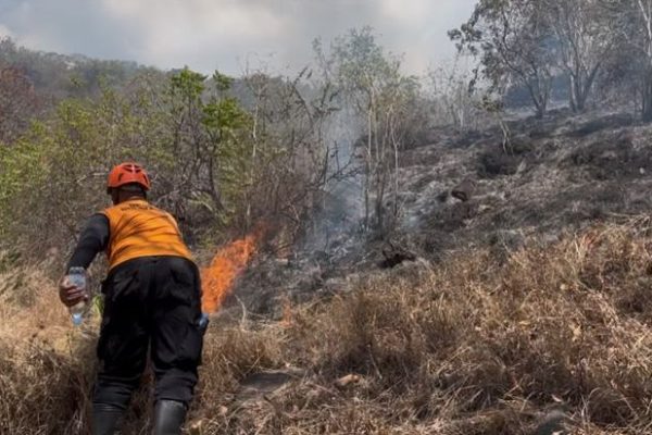 Perkembangan Situasi dan Penanganan Bencana di Tanah Air per 21 Juli 2026: Karhutla Masih Mendominasi