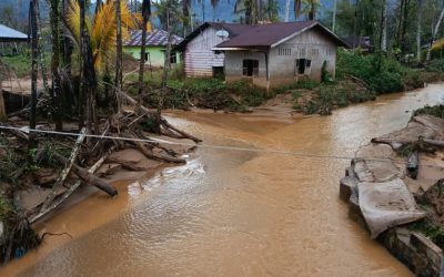 Karhutla dan Banjir di Daerah Perlu Penanganan Terpadu Pemerintah Pusat Dan Daerah