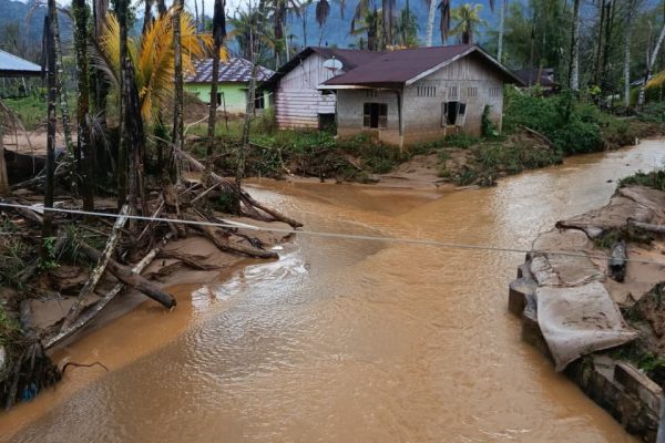Karhutla dan Banjir di Daerah Perlu Penanganan Terpadu Pemerintah Pusat Dan Daerah