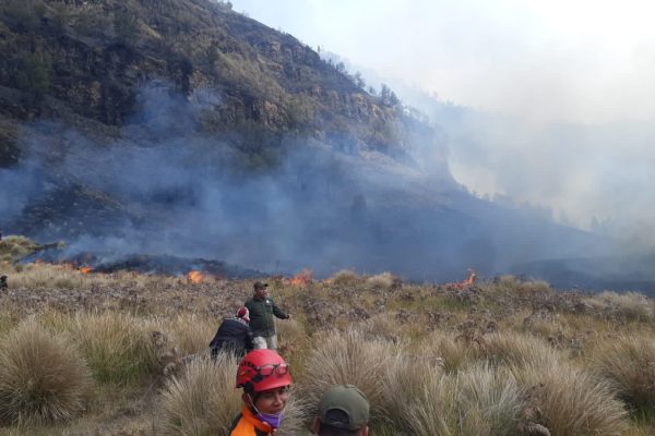Karhutla Landa Kawasan Gunung Bromo, Upaya Pemadaman Telah Dilakukan