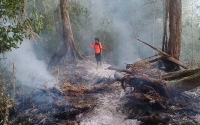 BNPB Catat 2.186 Kejadian Bencana hingga 21 Oktober 2026