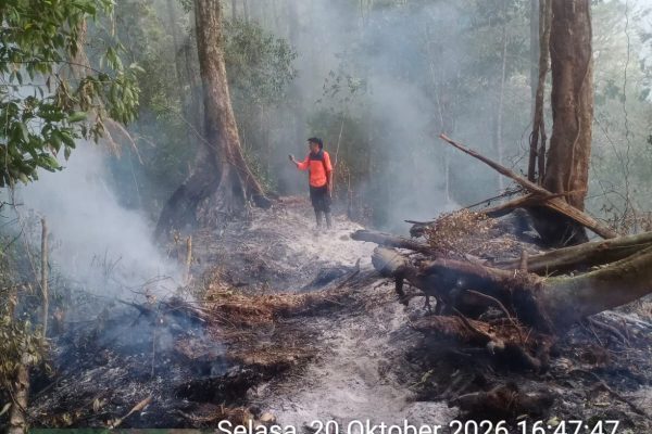 BNPB Catat 2.186 Kejadian Bencana hingga 21 Oktober 2026