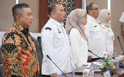 117 Lokasi Lisdes Diusulkan, Sumut Kejar Rasio Elektrifikasi 100 Persen